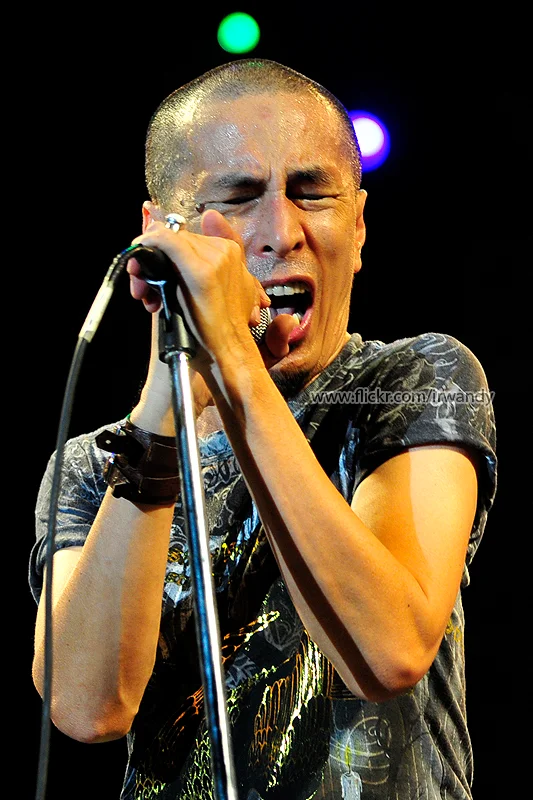 Amy Search singing into a microphone at the 2009 Di Awan Biru concert.