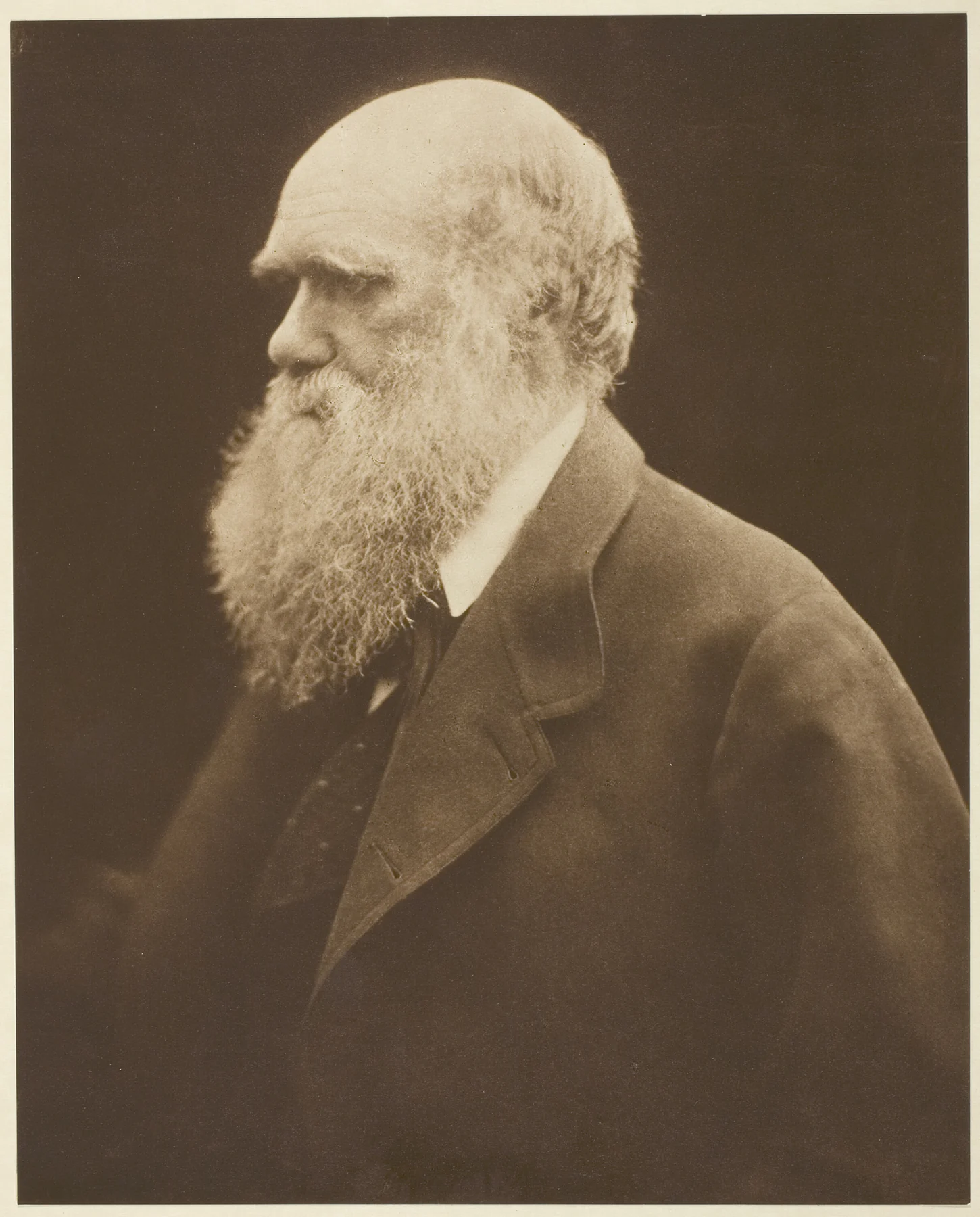 Charles Darwin, photographed by Julia Margaret Cameron circa 1868, printed 1875; complete supplied carbon-print reproduction.