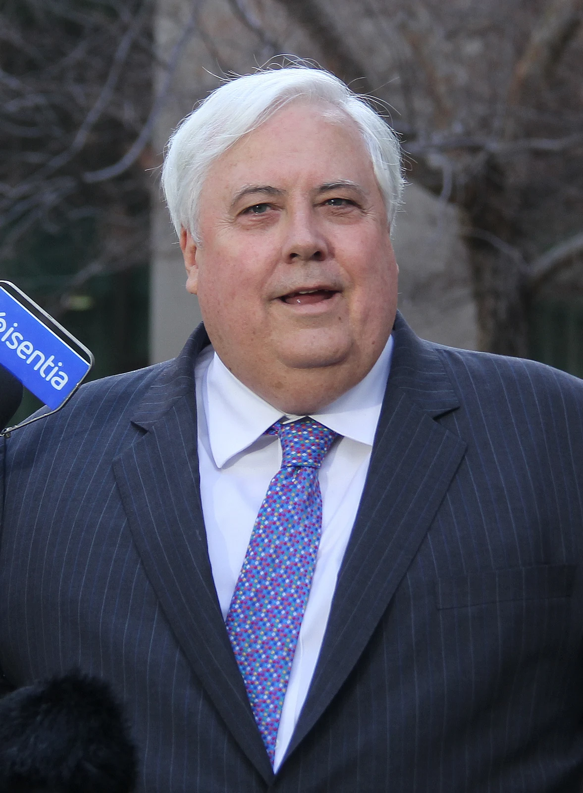 Clive Palmer speaking at a Parliament House press conference in August 2015, wearing a blue pinstriped suit and patterned tie; the microphone and background remain in the full supplied frame.