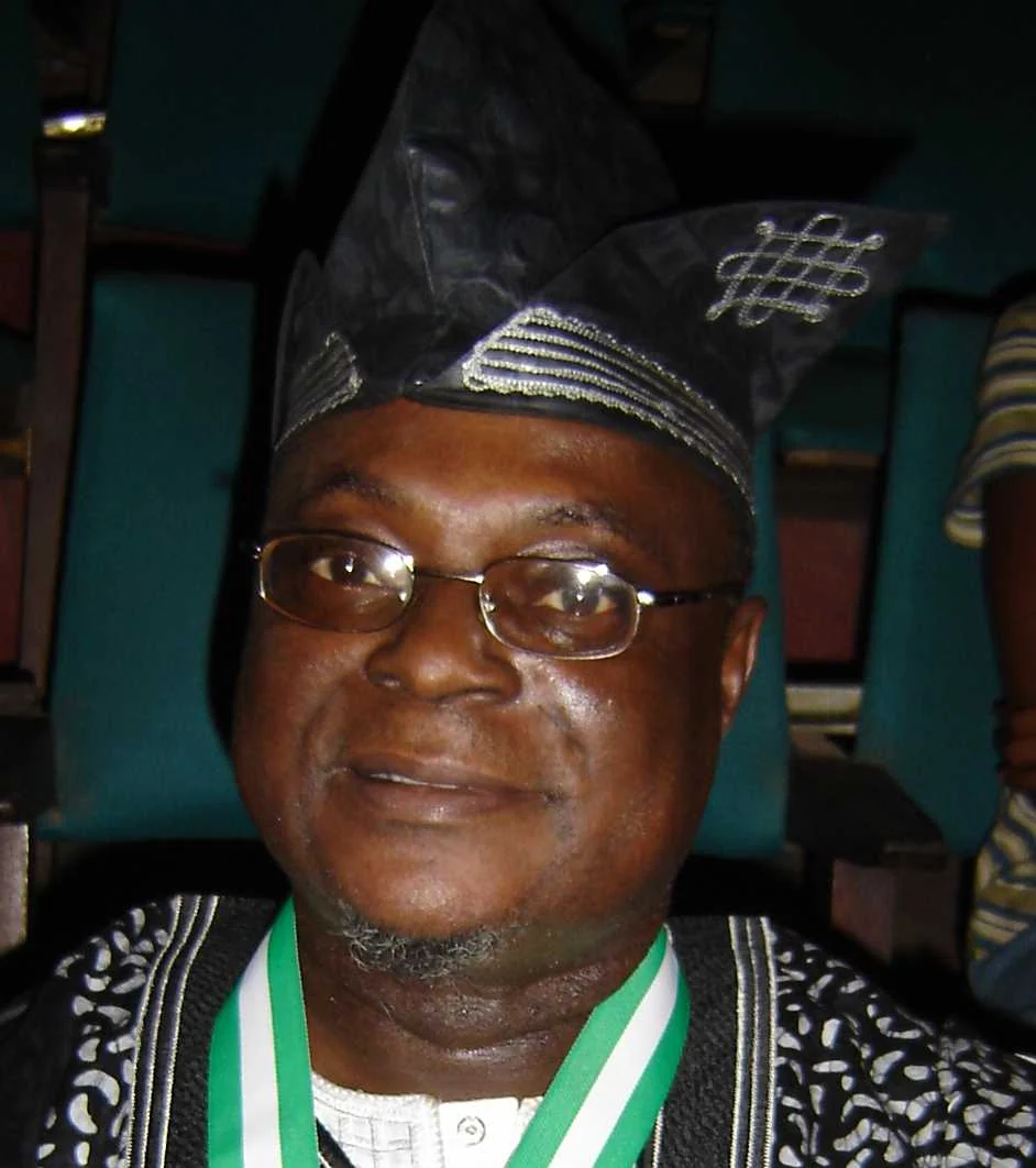 Femi Osofisan in Descrownes’s complete supplied photograph.