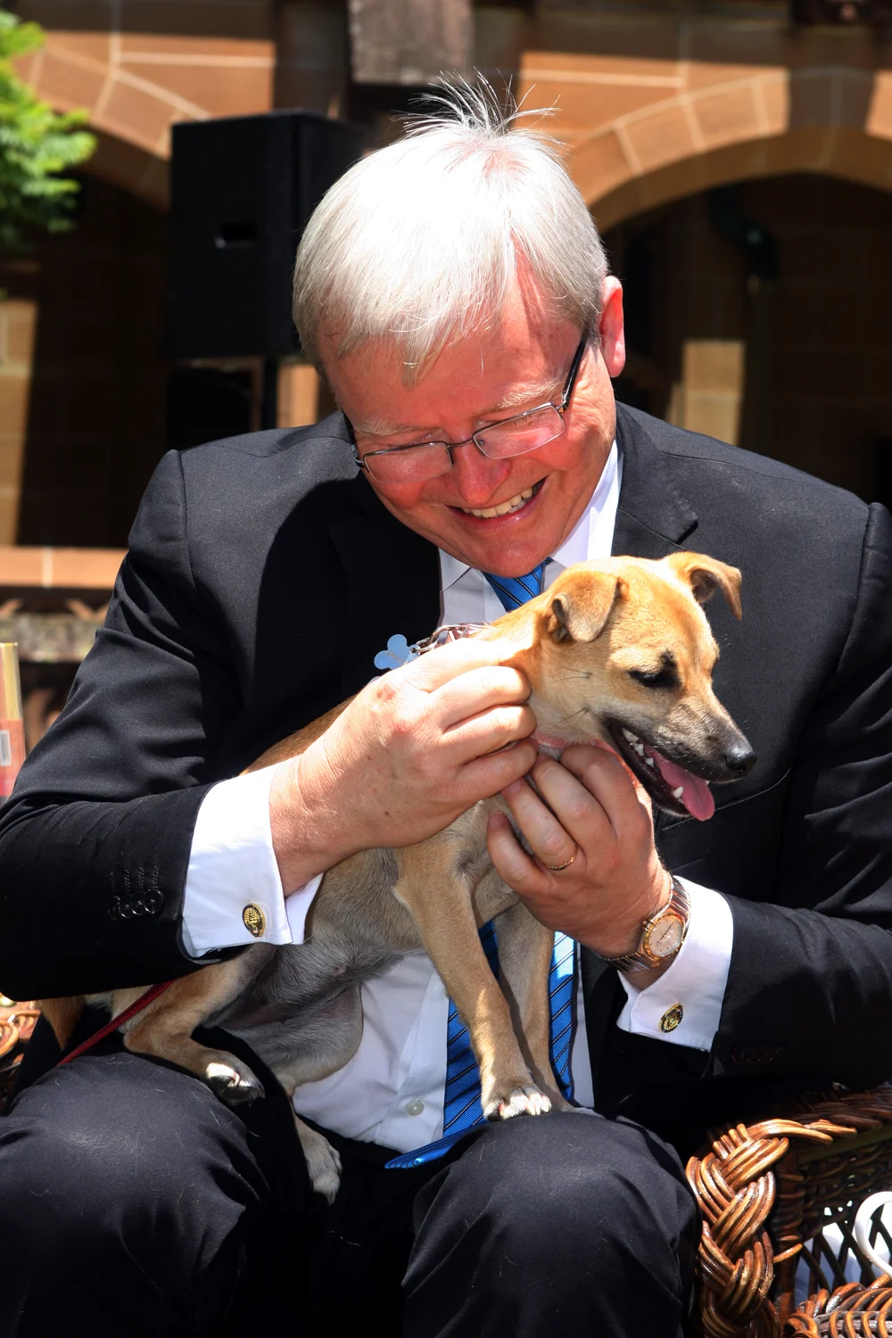 Kevin Rudd looking down while holding a small dog, photographed in January 2013.