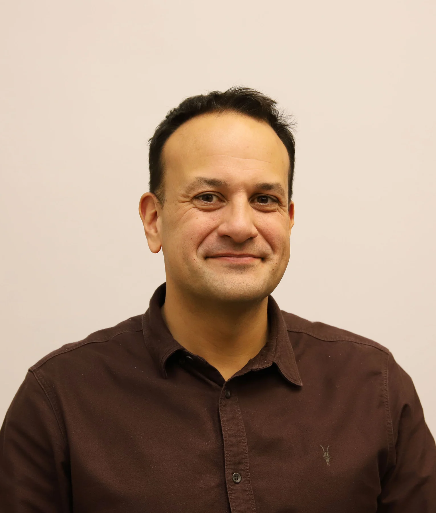 Leo Varadkar in the complete supplied Oireachtas portrait.
