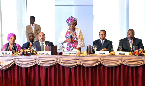 Phuthuma Nhleko, seated second from right in glasses and a dark suit beside standing Nkosazana Dlamini-Zuma, at a 2014 AWHF luncheon; complete frame.