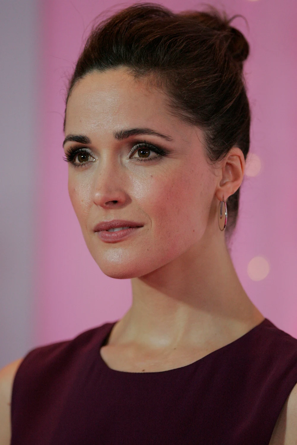 Rose Byrne in a dark dress against a pink premiere backdrop, in Eva Rinaldi’s complete supplied 2013 portrait