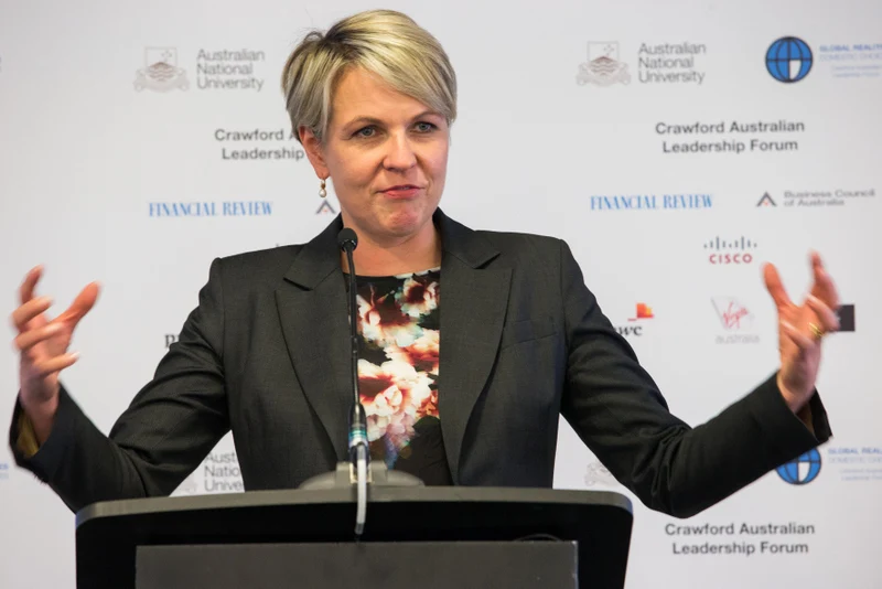 Tanya Plibersek in a dark jacket and floral top speaking at a lectern, with her arms extended, at the 2015 Crawford Forum.